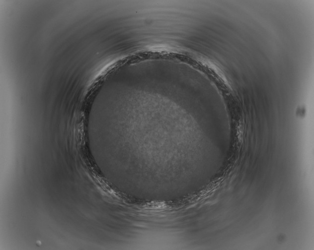 X0000097460968200802291232