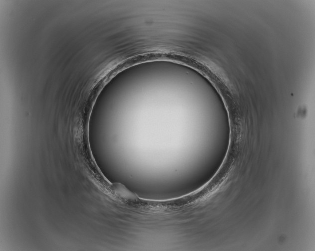 X0000097460969200802291232