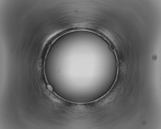 X0000097460971200802291232