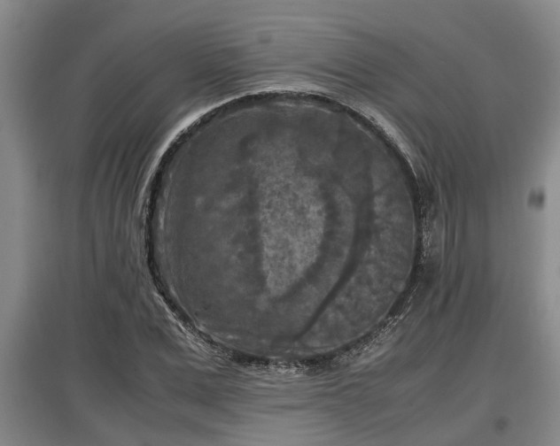 X0000097460975200802291232