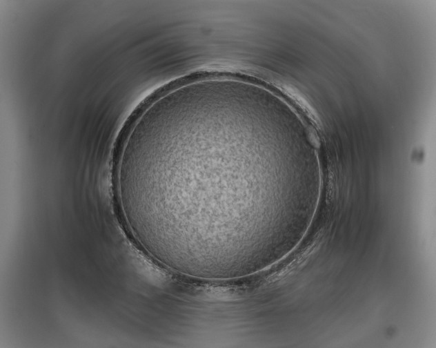 X0000097460976200802291232