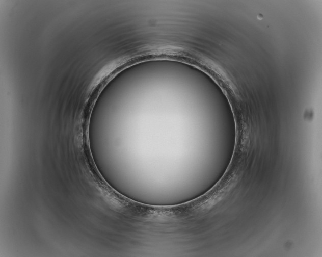 X0000097460978200802291232