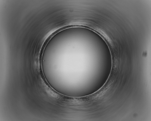 X0000097460980200802291232