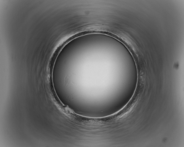 X0000097460981200802291232