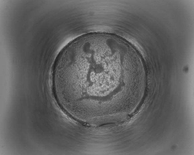 X0000097460983200802291232