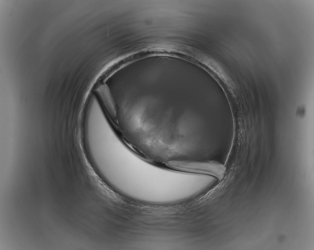 X0000097460984200802291232