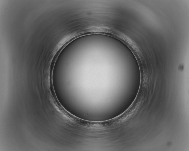 X0000097460986200802291232