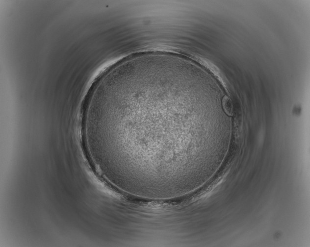 X0000097460987200802291232