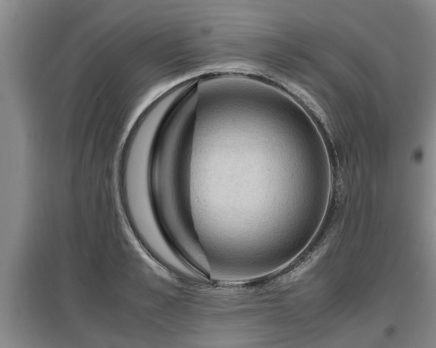 X0000097460989200802291232