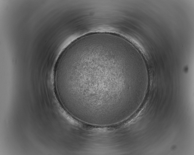 X0000097460990200802291232