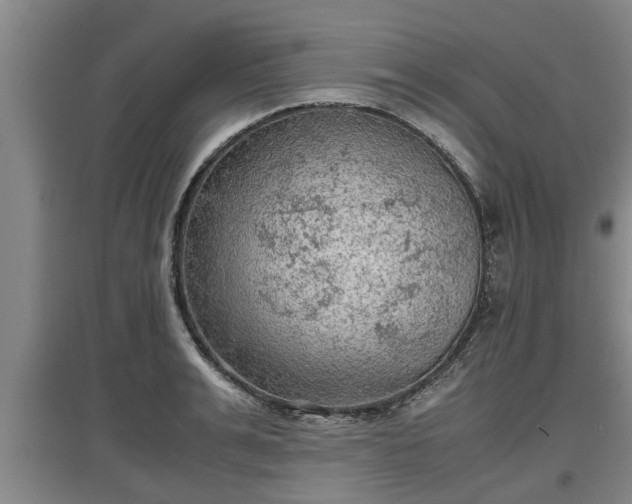 X0000097460991200802291232