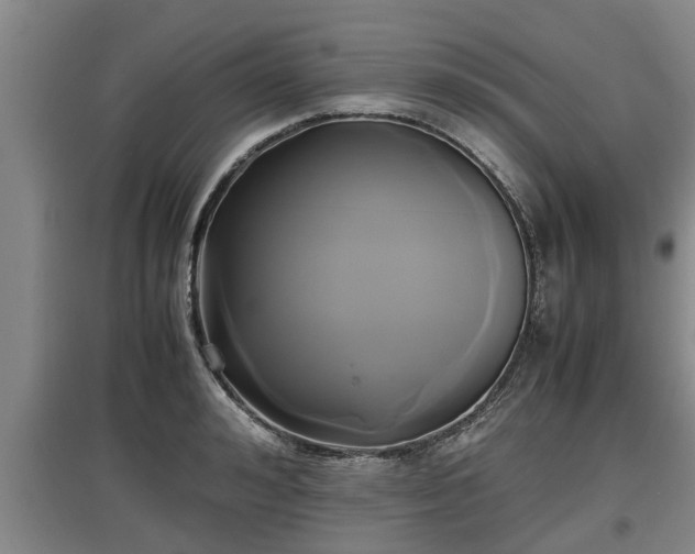 X0000097460992200802291232