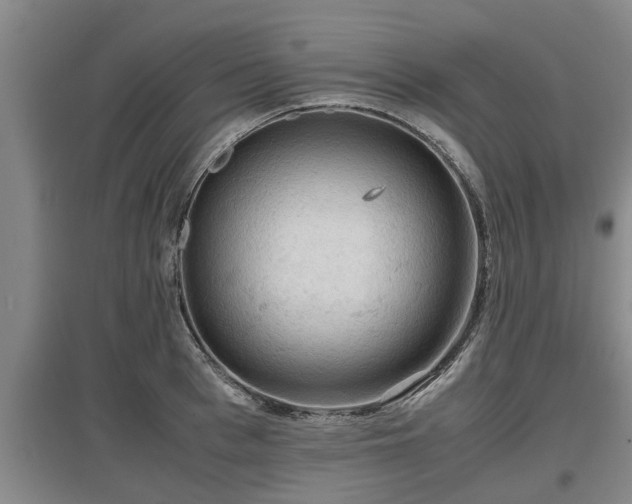 X0000097460993200802291232