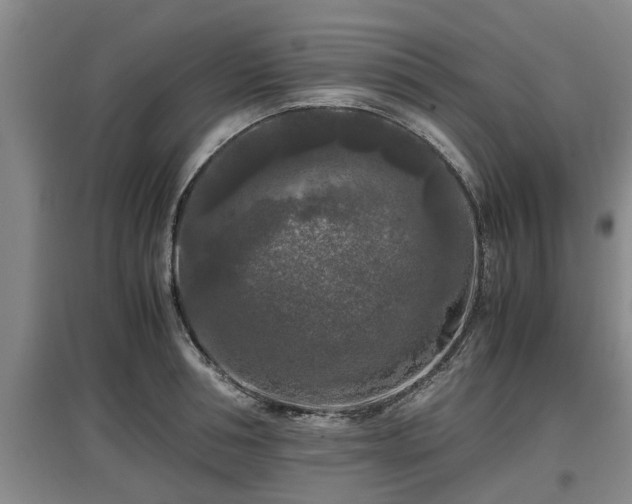 X0000097460994200802291232