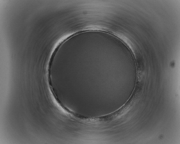 X0000097460995200802291232