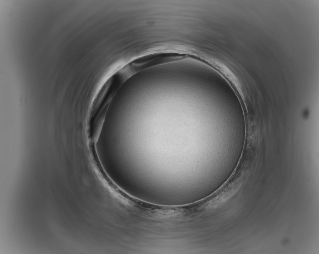 X0000097460997200802291232