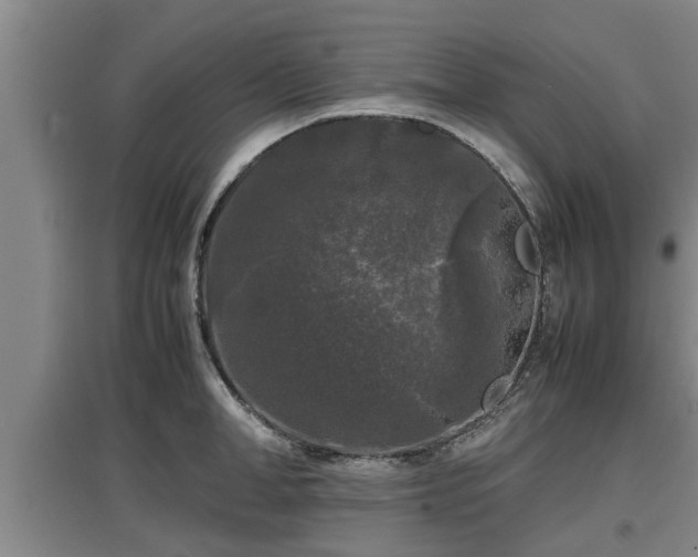 X0000097460998200802291232