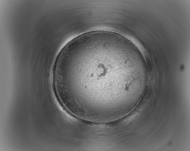 X0000097460999200802291232