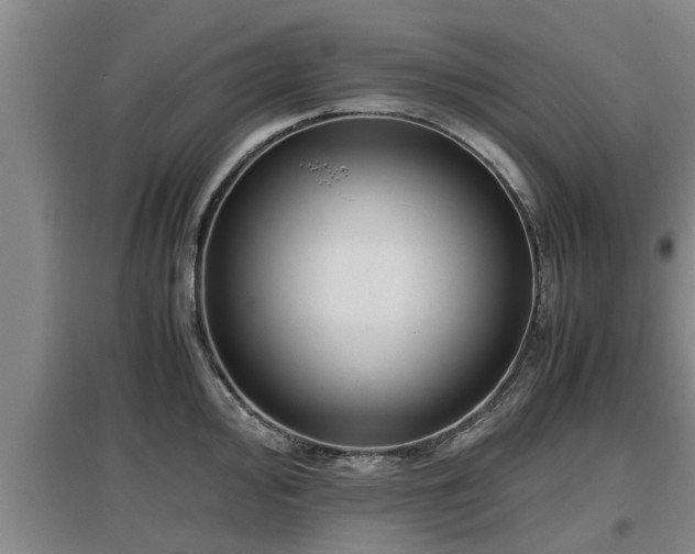 X0000097461000200802291232