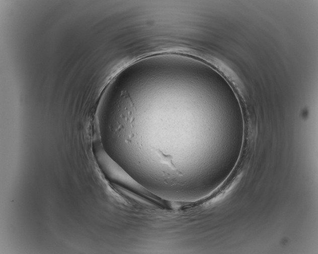 X0000097461001200802291232