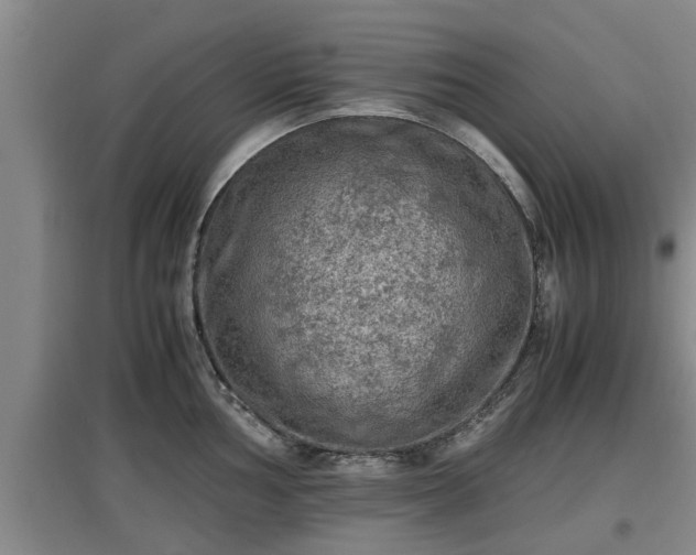 X0000097461002200802291232