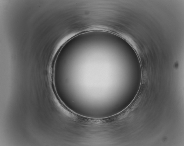 X0000097461003200802291232