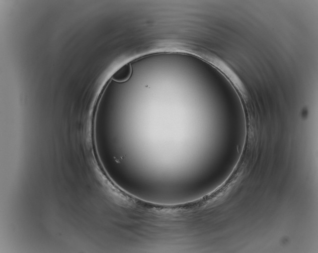 X0000097461004200802291232