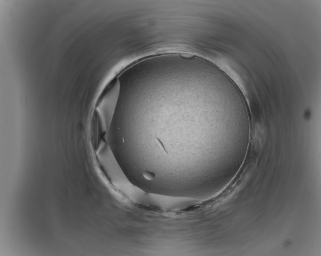 X0000097461005200802291232