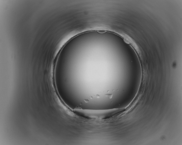 X0000097461006200802291232