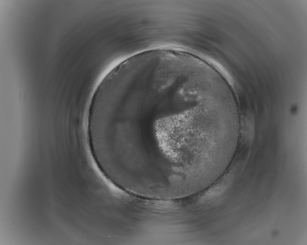 X0000097461007200802291232