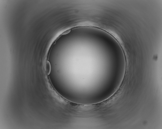 X0000097461008200802291232