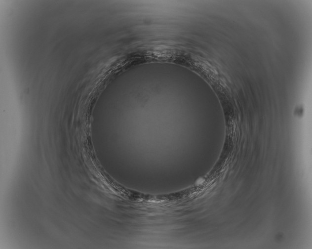 X0000097461009200802291231