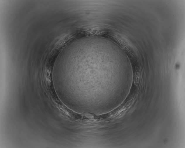 X0000097461010200802291231