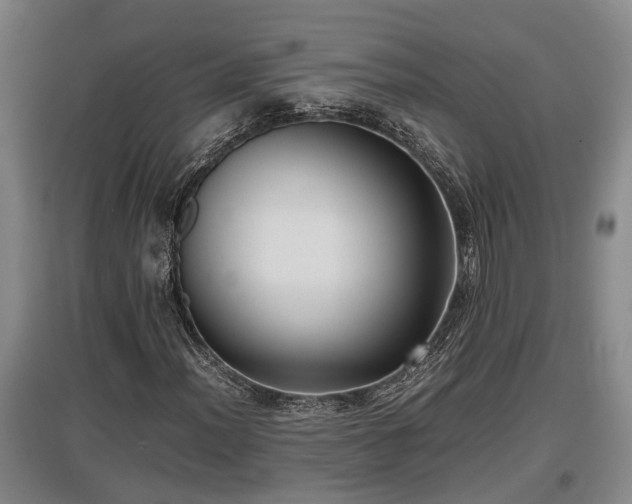 X0000097461012200802291231