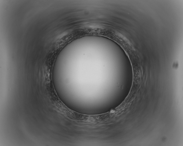 X0000097461013200802291231