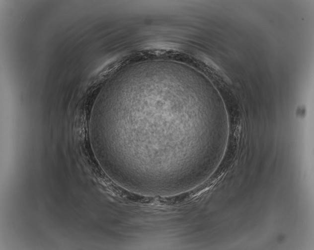 X0000097461014200802291231