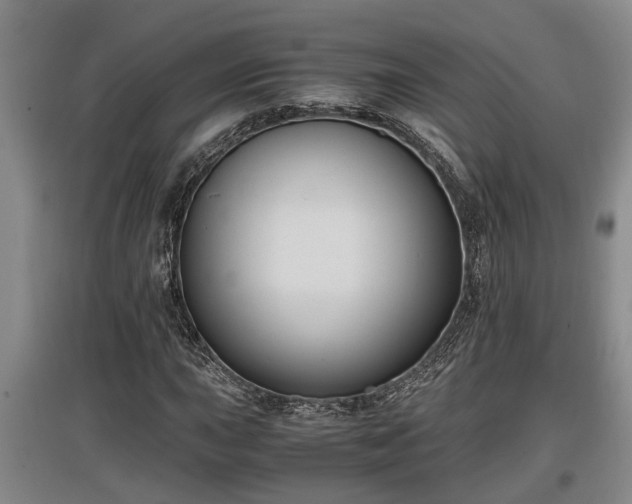 X0000097461015200802291231