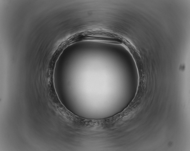 X0000097461016200802291231