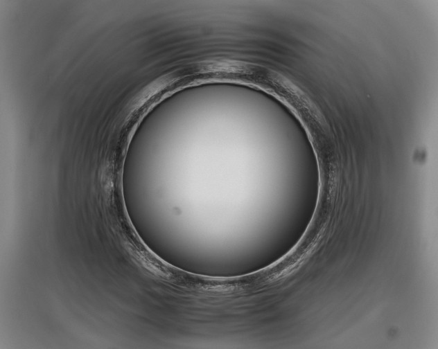 X0000097461017200802291231