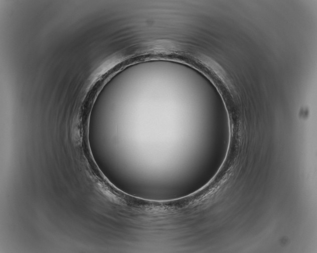 X0000097461018200802291231