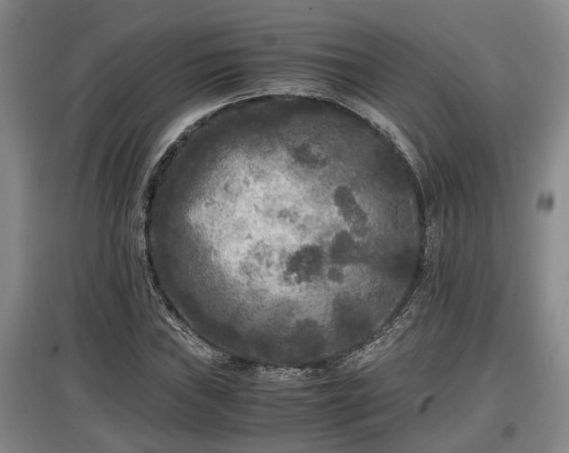 X0000097461019200802291231