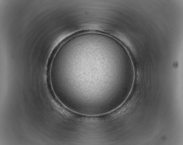 X0000097461020200802291231