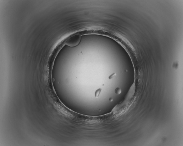 X0000097461021200802291231