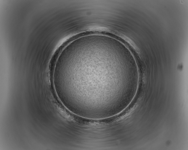 X0000097461022200802291231