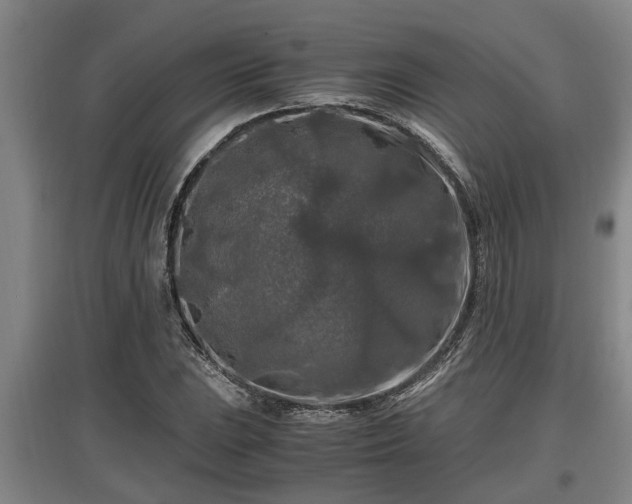 X0000097461023200802291231