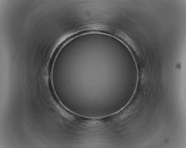 X0000097461024200802291231