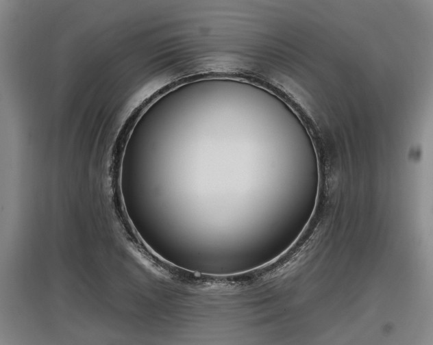 X0000097461026200802291231