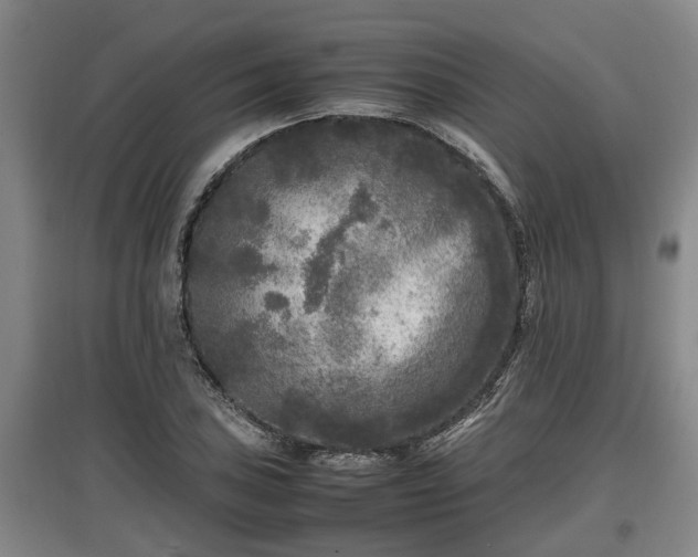 X0000097461027200802291231