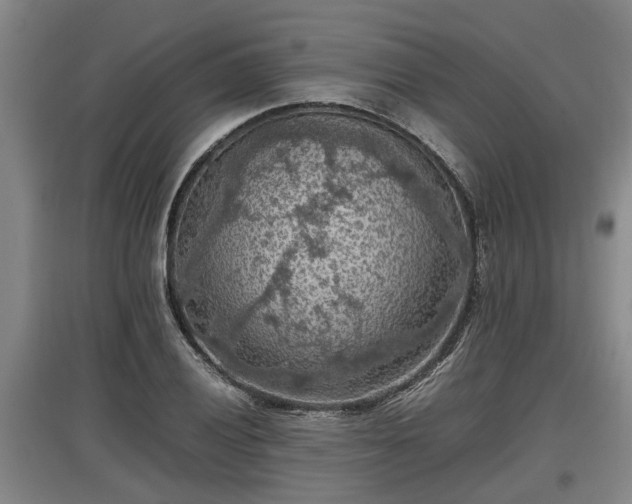 X0000097461028200802291231