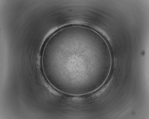 X0000097461029200802291231